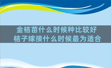 金桔苗什么时候种比较好 桔子嫁接什么时候最为适合